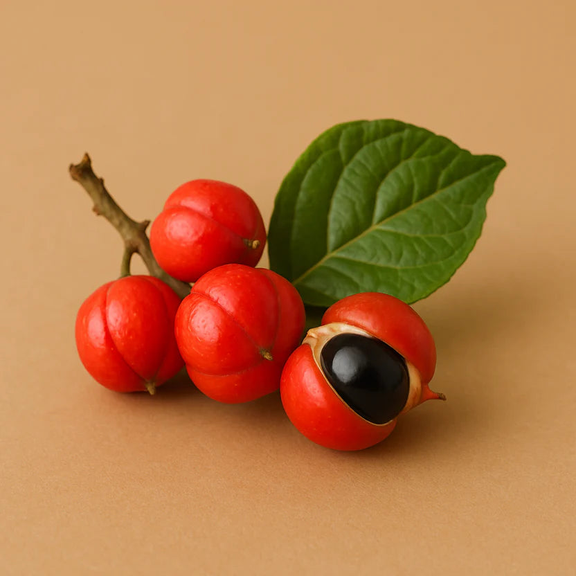 Guarana kivonat (Paullinia cupana) - 50 mg