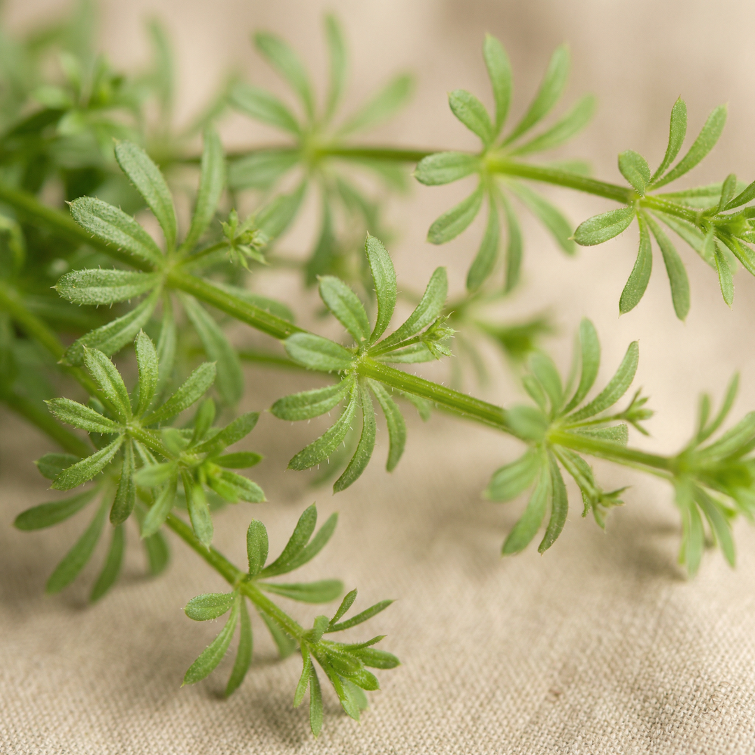 Galaj kivonat - 200 mg